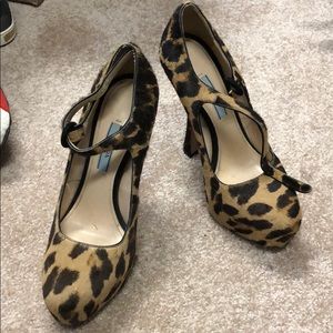 Prada leopard heels